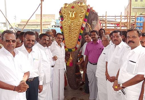 முகாம் நிறைவு செய்து திரும்பிய கோயில்யானை கஸ்தூரிக்கு சிறப்பு வரவேற்பு